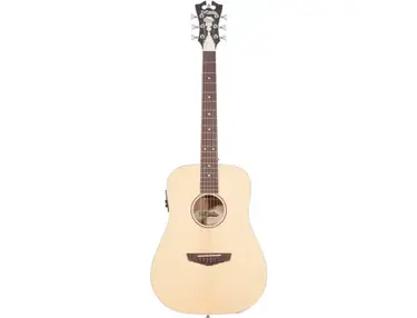 D'Angelico Premier Niagara