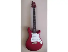 PRS SE EG Stoptail main image