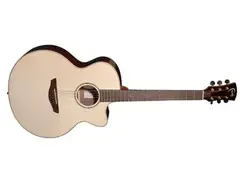 Faith Guitars FJCEHG - HiGloss Jupiter Cut/Electro