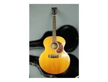 Harptone L-6 Acoustic Guitar