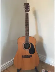 Tanglewood TW-800