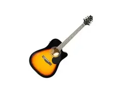Samick Greg bennet GD-100 main image