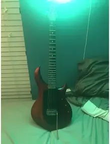 Ernie Ball Sterling maj100