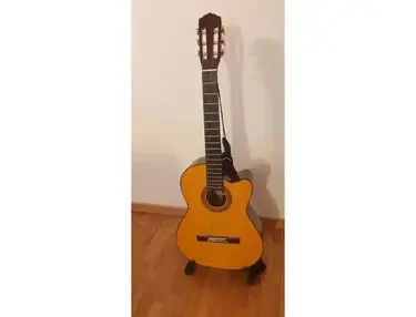 Fender CG-19CE