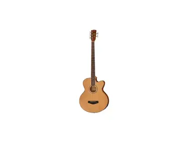 Harley Benton B-35NT 5-String Acoustic Bass