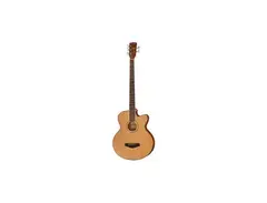 Harley Benton B-35NT 5-String Acoustic Bass
