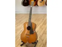 Washburn 5250 Archtop main image