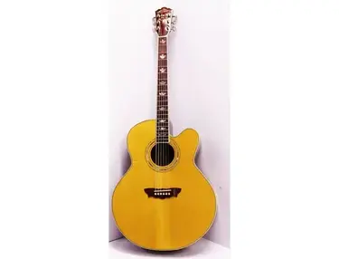 Washburn J28SCE Cumberland Cutaway Jumbo