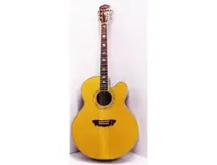 Washburn J28SCE Cumberland Cutaway Jumbo