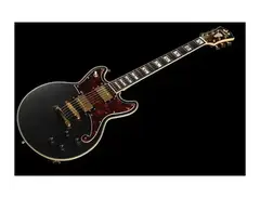 D'Angelico Deluxe Brighton LTD main image