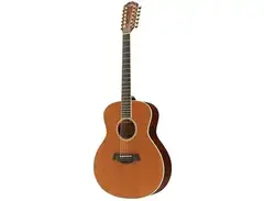 Taylor GS5-12
