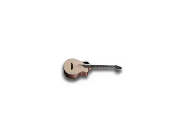 Furch 5string Bass