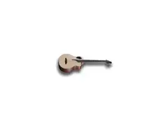 Furch 5string Bass