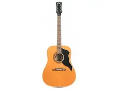 Eko Ranger J-54 main image