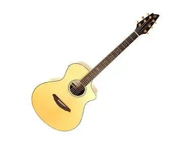 Breedlove Atlas Series AC25/SR Plus