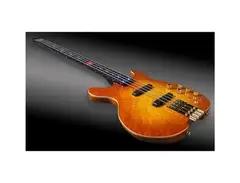 Status Kingbass Level 42 30th Anniversary