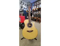 Fernandes FAA-500E main image