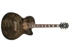 Washburn J40SCE Michael Sweet Signature