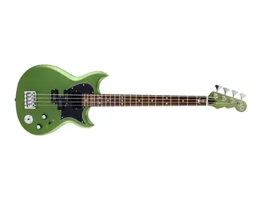 Reverend Mike Watt Wattpower Mark II