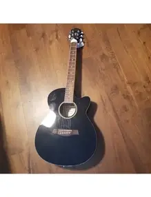 Ibanez AEG5E-BKN
