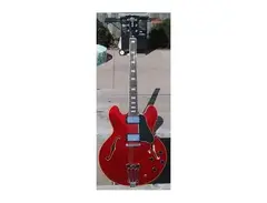 Electra Guitars Pro 2266 main image
