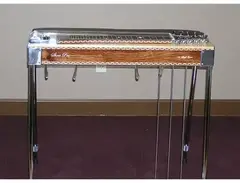 Show Pro Pedal Steel main image