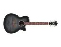 Ibanez AEG70