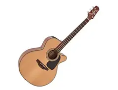 Takamine Pro Series P1NC