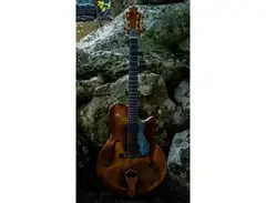 Nishgaki Arcus Archtop main image
