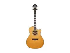 D'Angelico Premier Gramercy main image