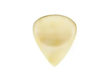 Timber Tones Buffalo Bone Pick