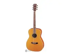 Cort Earth 200 GC (Grand Concert) main image