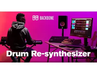 Steinberg Backbone