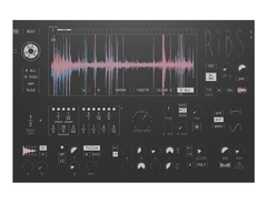 Hvoya Audio Ribs Granular FX main image