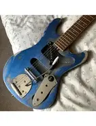 Teisco Top 20 (Custom)