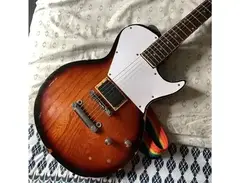 Hohner Arbor Series Les Paul (Custom) main image