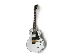 Fernandes Burny RLC-85S 2011 main image