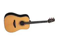 Takamine EN18 main image