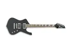 Ibanez ICX220DX main image