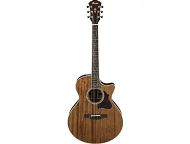 Ibanez AE245NT