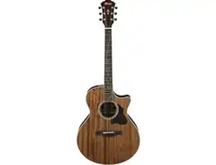 Ibanez AE245NT main image