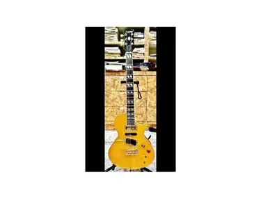Epiphone Les Paul Nighthawk Special /w Tremolo