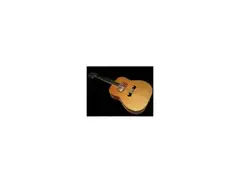 Zemaitis 12-String Acoustic main image