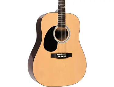 Rogue RG-624 Acoustic