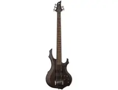 ESP LTD F-205FM main image
