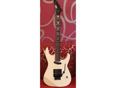 ESP Custom order