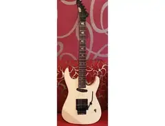 ESP Custom order main image