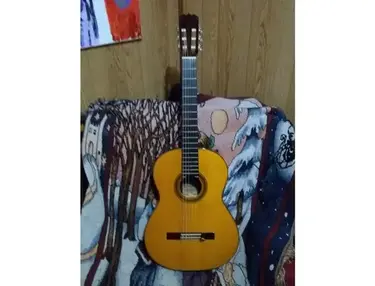 Takamine C-128