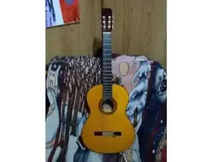 Takamine C-128