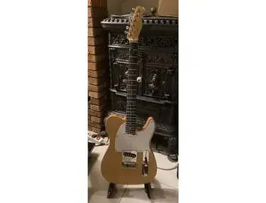 Harley Benton DIY Tele
